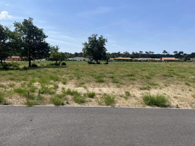 Annonce Vente Terrain Vendays-montalivet 33
