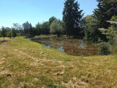 For sale Lureuil 4700 m2 Indre (36220) photo 0