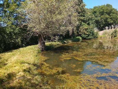 For sale Lureuil 4700 m2 Indre (36220) photo 1