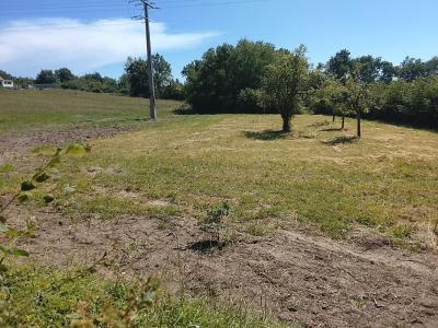 For sale Lureuil 4700 m2 Indre (36220) photo 2