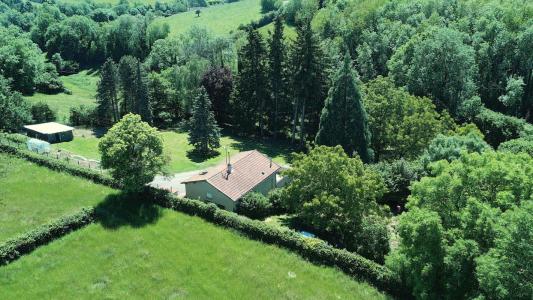 Annonce Vente 4 pi�ces Maison Bussieres 42
