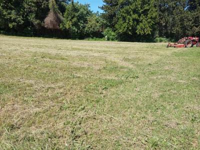 Annonce Vente Terrain Donzere 26