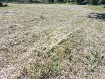 Acheter Terrain 1834 m2 Donzere