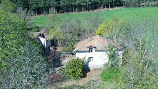 Annonce Vente Maison Violay 42