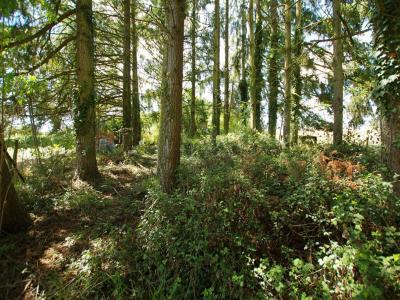 Annonce Vente Terrain Saint-germain-des-pres 45