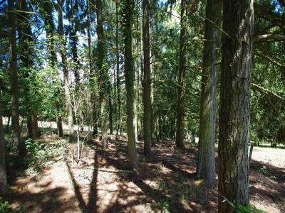 Acheter Terrain 2663 m2 Saint-germain-des-pres