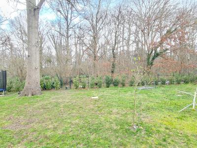 Acheter Maison 54 m2 Aubevoye