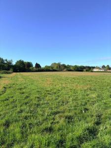 For sale Pout 605 m2 Gironde (33670) photo 0