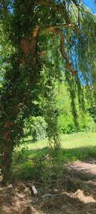 For sale Fronton 629 m2 Haute garonne (31620) photo 0