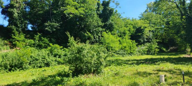For sale Fronton 480 m2 Haute garonne (31620) photo 0