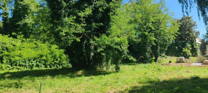 For sale Fronton 526 m2 Haute garonne (31620) photo 0