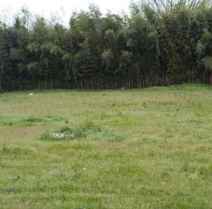 For sale Artigues-pres-bordeaux 505 m2 Gironde (33370) photo 0