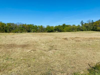 Annonce Vente Terrain Loupes 33