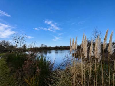 For sale Chateauroux 32767 m2 Indre (36000) photo 0