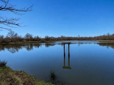 Acheter Terrain 32767 m2 Chateauroux