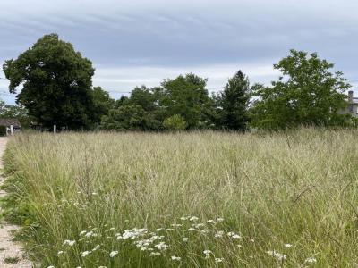 For sale Castelnau-de-medoc 1000 m2 Gironde (33480) photo 0