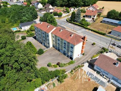 Acheter Immeuble Digoin 824000 euros