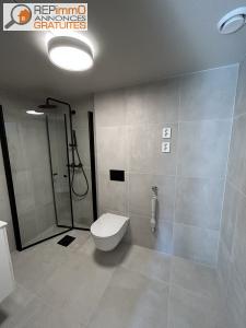 Louer Appartement Olivet 500 euros