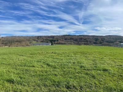 Acheter Maison Boussieres 378000 euros