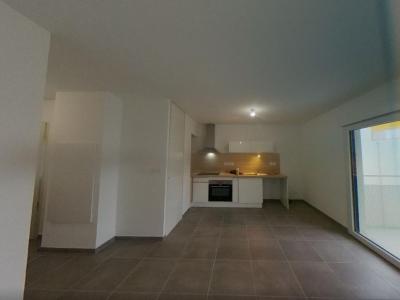 Annonce Location 2 pi�ces Appartement Arles 13