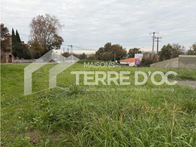 Annonce Vente Maison Merville 31