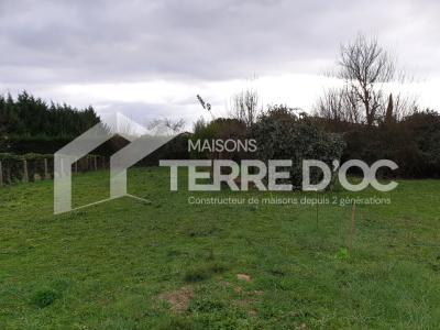 Annonce Vente Maison Clermont-le-fort 31