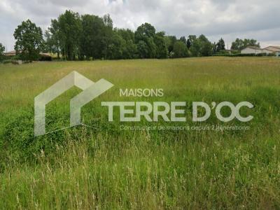 Annonce Vente Maison Ayguesvives 31