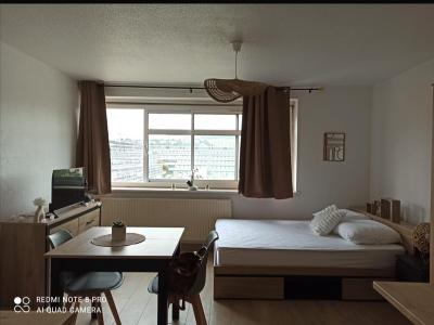 For rent Lyon-7eme-arrondissement 1 room 24 m2 Rhone (69007) photo 0