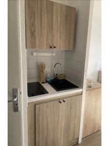 Annonce Location Appartement Lyon-7eme-arrondissement 69