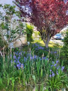Annonce Vente 5 pi�ces Maison  85