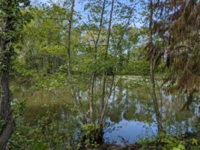 For sale Cesson-sevigne 827 m2 Ille et vilaine (35510) photo 0
