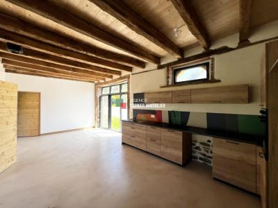 Annonce Location 6 pi�ces Maison Acigne 35