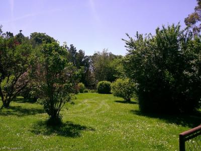 Acheter Maison Availles-limouzine 159570 euros