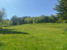 Vente Terrain Chaudeyrac  6438 m2