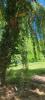 For sale Land Fronton  629 m2