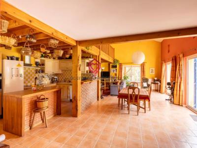 Annonce Vente 10 pi�ces Maison Ouveillan 11