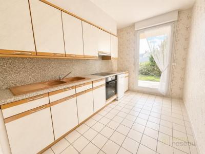 Acheter Maison 56 m2 Gournay-en-bray