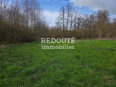 Acheter Terrain 3955 m2 Chatelet-sur-retourne