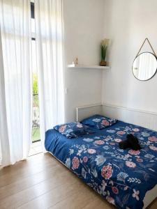For rent Talence 1 room 18 m2 Gironde (33400) photo 0