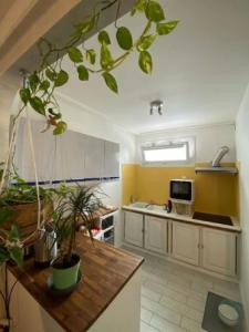 Annonce Location 2 pi�ces Maison Pessac 33