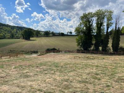 Annonce Vente Terrain Cezay 42