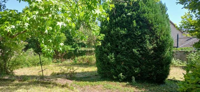 Acheter Prestige Luxeuil-les-bains Haute saone