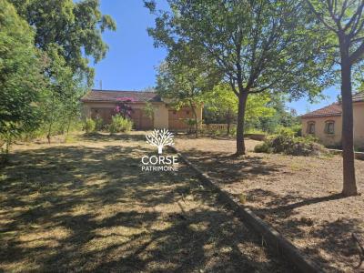 For sale Canale-di-verde BRAVONE 9 rooms 315 m2 Corse (20230) photo 2
