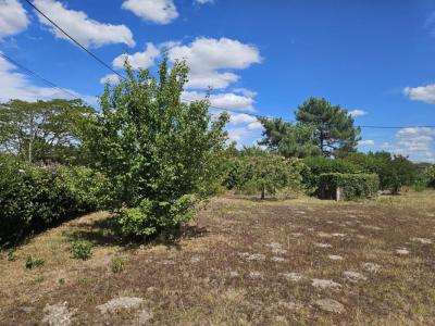 Annonce Vente Terrain Villenave-d'ornon 33