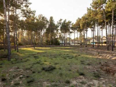 For sale Bouliac 900 m2 Gironde (33270) photo 0