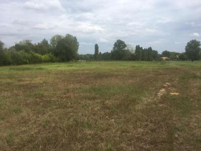 For sale Cavignac 613 m2 Gironde (33620) photo 0