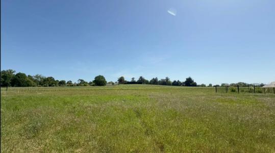 For sale Camblanes-et-meynac 1100 m2 Gironde (33360) photo 0