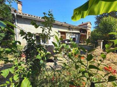 Annonce Vente 5 pi�ces Maison Saint-porquier 82