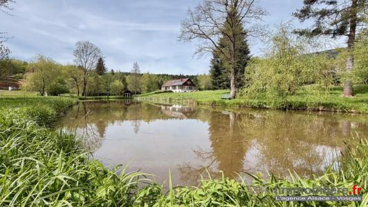Acheter Maison 230 m2 Nayemont-les-fosses