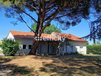 Annonce Vente 6 pi�ces Maison Sainte-foy-d'aigrefeuille 31